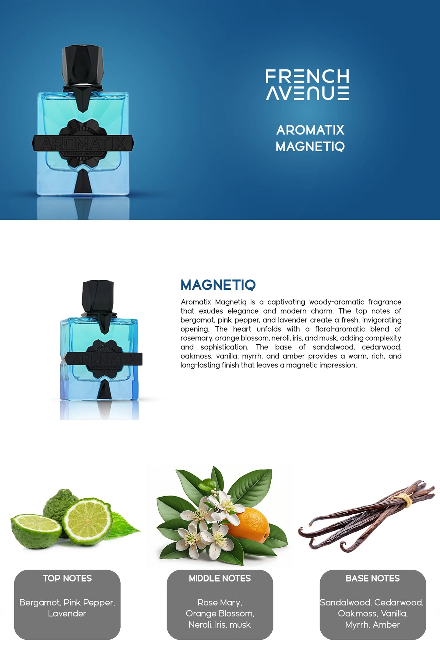 French avenue Magnetiq